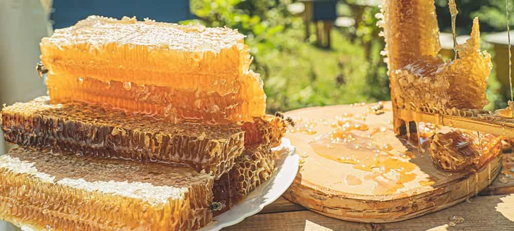 تصویر 1 از عسل کوهی جاوشیر طبیعی با خواص ارزشمند و طعم اصیل